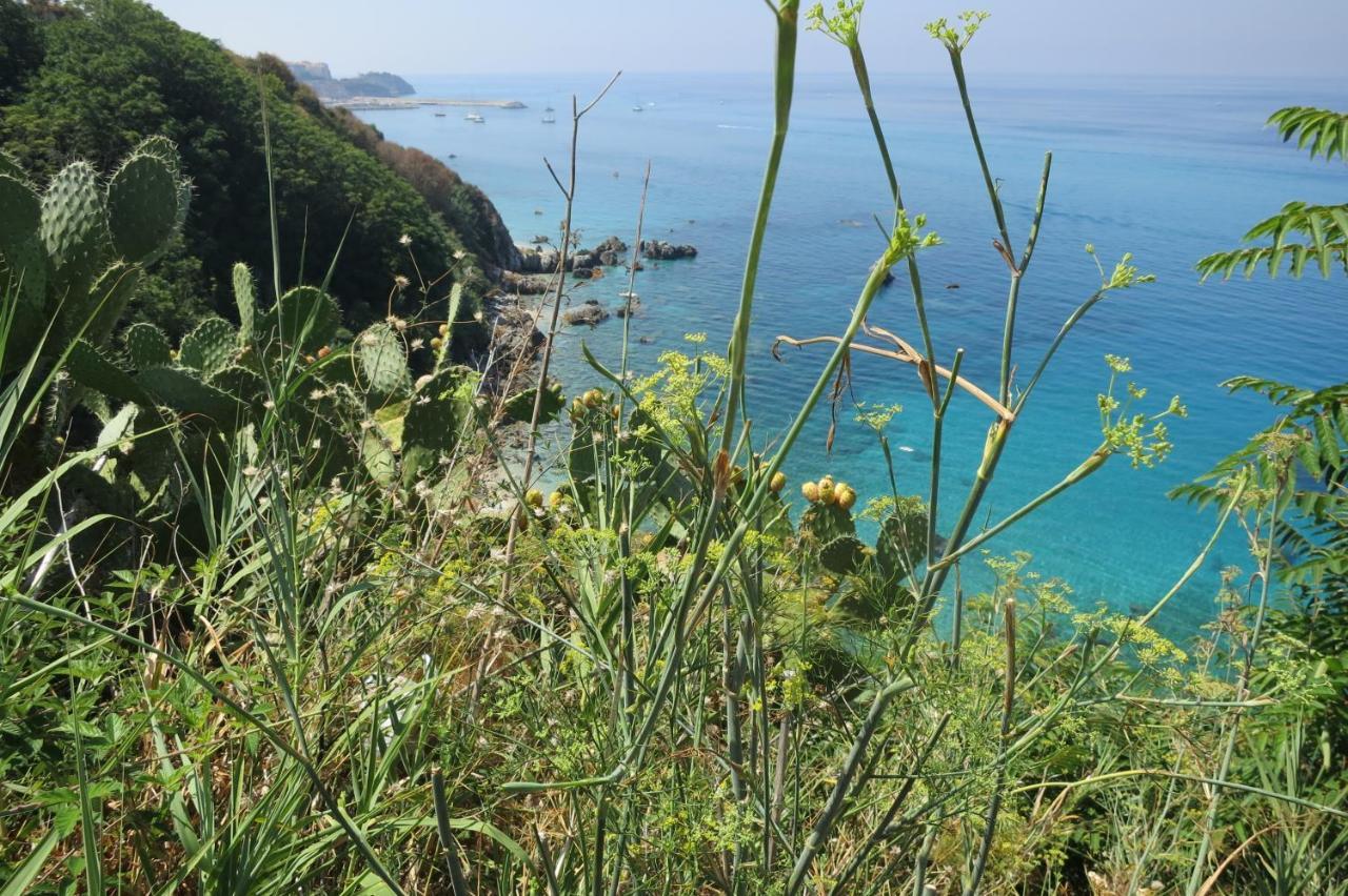 Il Limoneto 2, Casa Vacanze Parghelia-Tropea Appartement Buitenkant foto